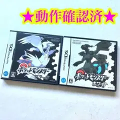 DS ポケットモンスター ブラック ホワイト