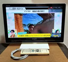 Item thumbnail for item 0c509d1e-d493-4eab-bb0e-0b3e17cf9fd4