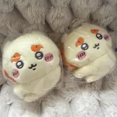 未開封シーサー2個セット