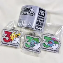 ポケモン30周年 メタルチャームマスコット めじるしアクセサリー　3種セット