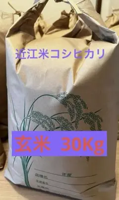 精米無料】令和7年度新潟県長岡産コシヒカリ20kg玄米【生産農家直販