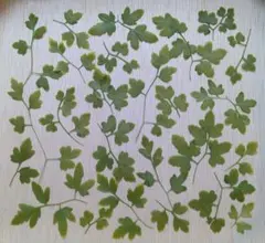 ☆そらしど様 リクエスト 4点 まとめ商品