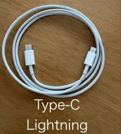 Apple純正　充電ケーブル　1m Type-C to Lightning