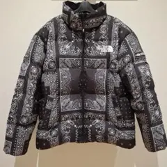 THE NORTH FACE 韓国限定 ノベルティ ロフティダウン ジャケットL