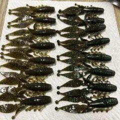 エバーグリーン　キッカーバグのサムネイル