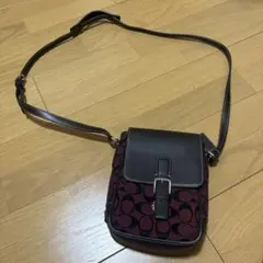 yoko swag y2k coach shoulder bagのサムネイル
