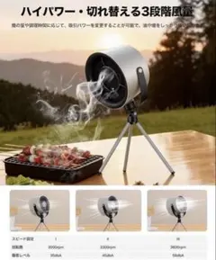 Item thumbnail for item 5544bd70-be72-4012-836b-8c9f3d857fb3