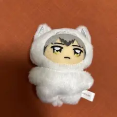ハイキュー‼︎ ちみけもますこっと　北信介
