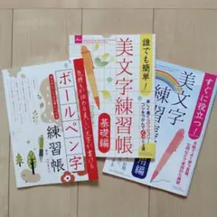ボールペン字 ペン習字 美文字 美しい文字 美文字練習帳 3冊セット