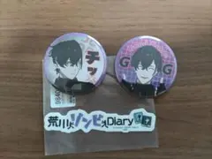 荒川ゾンビDiary 缶バッジ 2個・ステッカーセット