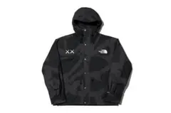 the north face kaws マウンテンジャケット