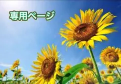 【専用ページ】くりくん&ビッグウット