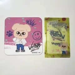 straykids VICTORY SKZOO puppyM　スンミン