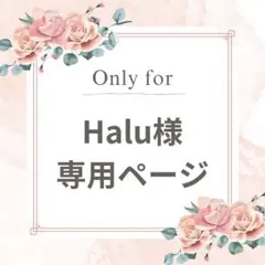 Halu様♡専用ページ