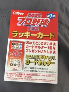プロ野球チップス 2025 第1弾 ラッキーカード　レア　お得