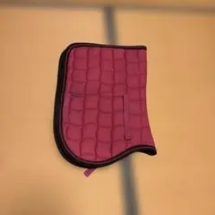 Item thumbnail for item ea06a168-aa6e-403c-ae43-e5781cd43a09