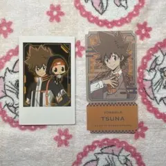 家庭教師ヒットマンREBORN！ 沢田綱吉 カード ステッカー