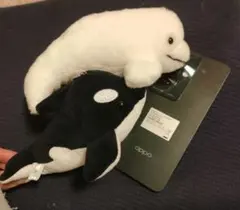 シャチとシロイルカ　セット♡水族館お土産コーナー