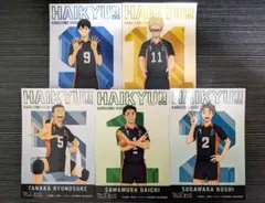 ハイキュー 烏野 影山 月島 田中 澤村 菅原 アニメイト ビジュアルカード5点