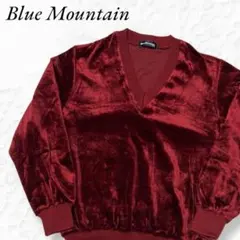 ブルーマウンテン トレーナー スウェット 長袖 Ⅴネック レッド 滑らかな生地