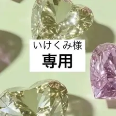 いけくみ様専用♡