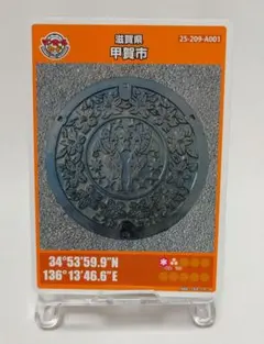 Item thumbnail for item 2904a2e0-8273-45b2-bf15-4fe0ac4c7c90