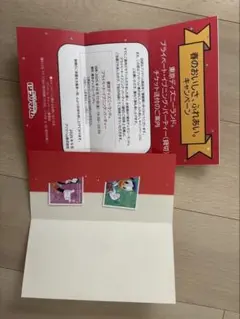 ディズニー　貸切　2名