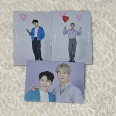 SEVENTEEN ドームツアー トレカ ホシ ウジ ペア