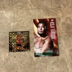 Item thumbnail for item 611a38eb-110b-4b1b-9f32-003c34ed7bae