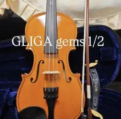 2026年最新】バイオリン gligaの人気アイテム - メルカリ