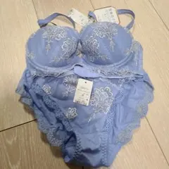 Triumph ブラジャーショーツセット D65 M