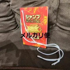 ジャンプ　ビクトリーパスポート　2025