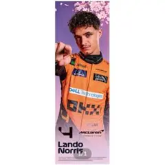 2026 F1日本グランプリ　 ドライバー応援のぼり（ランド・ノリス） 2026年最新】F1 のぼりの人気アイテム - メルカリ