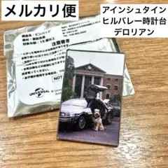 バックトゥザフューチャー、ドンキ、ノベルティ、ピンバッジ、アインシュタイン
