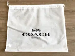 Item thumbnail for item 177651b9-0dd4-4dd9-8d65-a0e0e081b6b4