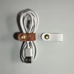 Item thumbnail for item 409ab835-4769-40dc-96f9-e36bb29e84dd