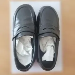 Item thumbnail for item 6e6e2d6d-75ba-4d45-8509-65ab6ee189ad