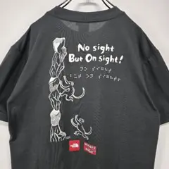 ノースフェイス　モンキーマジック　コラボ　Tシャツ　L　ダークグレー　古着コーデ