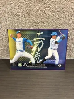BBM 北海道日本ハムファイターズ 柴田獅子 二刀流 ルーキーカード