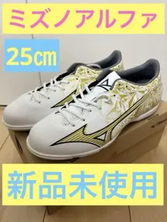 Mizuno alpha ミズノアルファ　サッカーシューズ 25㎝