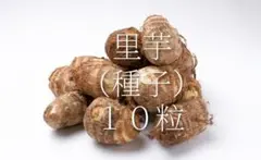 みっきぃくん様 リクエスト 2点 まとめ商品