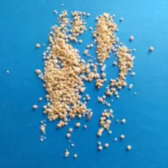 星の砂 約30g