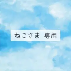ねこさま 専用
