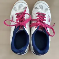 Item thumbnail for item 2284eb56-0da1-48ee-aa38-e748a4ad28e2