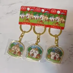 ご当地ちいかわキーホルダー 3個セットのサムネイル