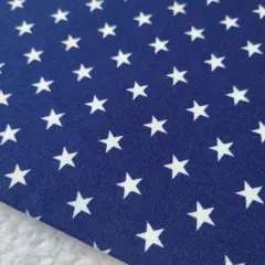 Item thumbnail for item c2398c44-fcbc-46c8-b61a-98edab7e3f64