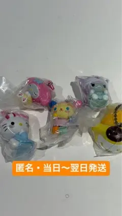 サンリオキャラクターズ GRWMマスコットチャーム コンプリートセット
