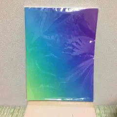 嵐 パンフレット (2011:Beautiful World)