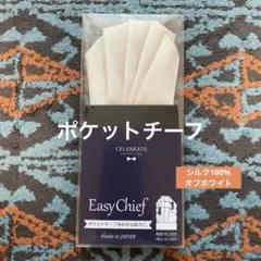 Item thumbnail for item 6d6c8c19-8c62-44bf-8f61-32d649e97d82