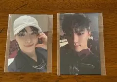 セブチ 会場限定トレカ ディノ